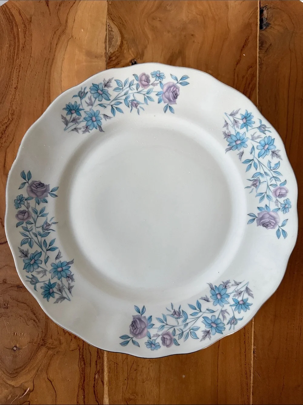 Set of 6 Vintage Favolina Karolina Gloria Dinner Plates 10